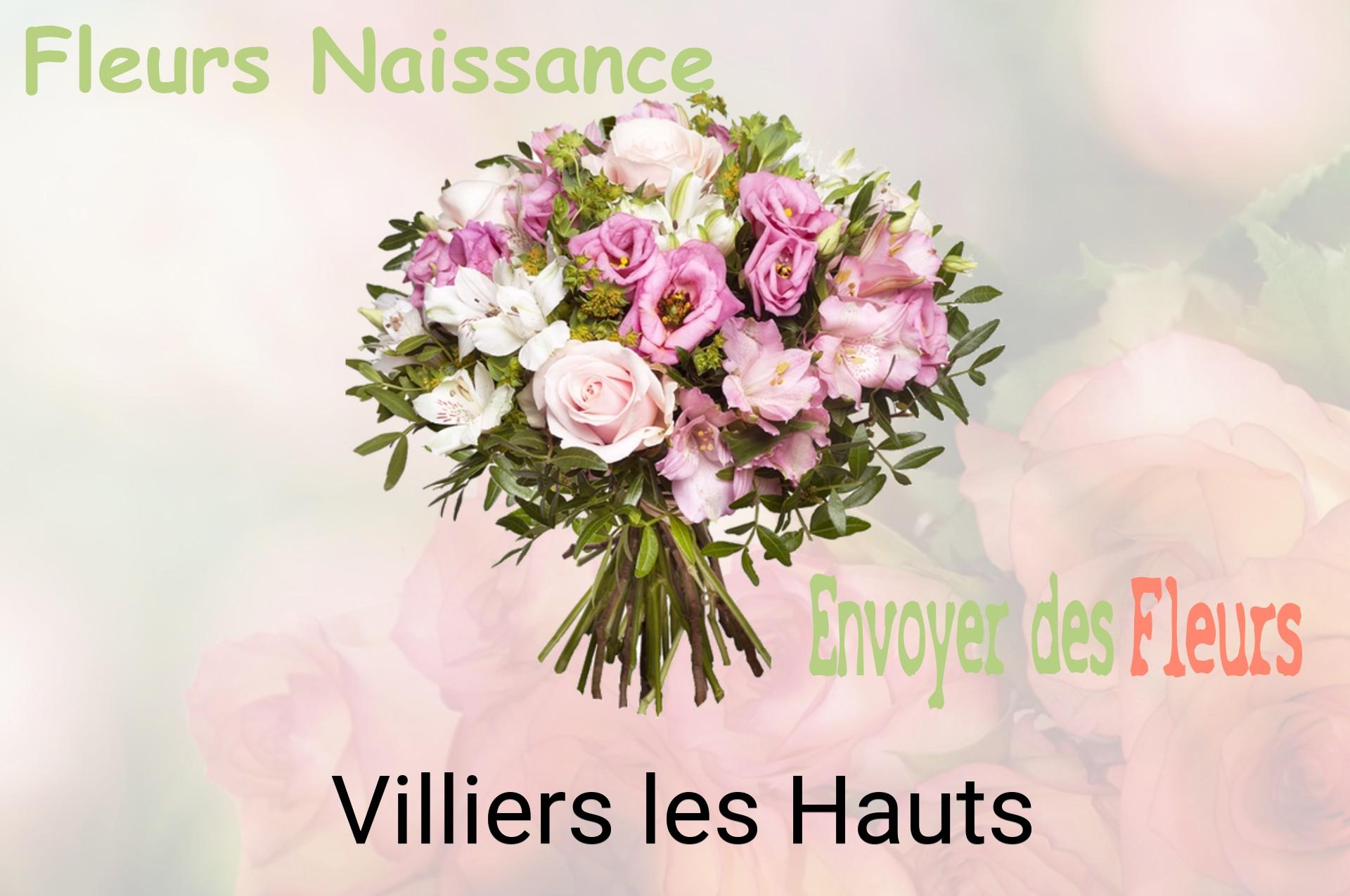 Bouquet de fleurs de naissance livré à Villiers-les-Hauts