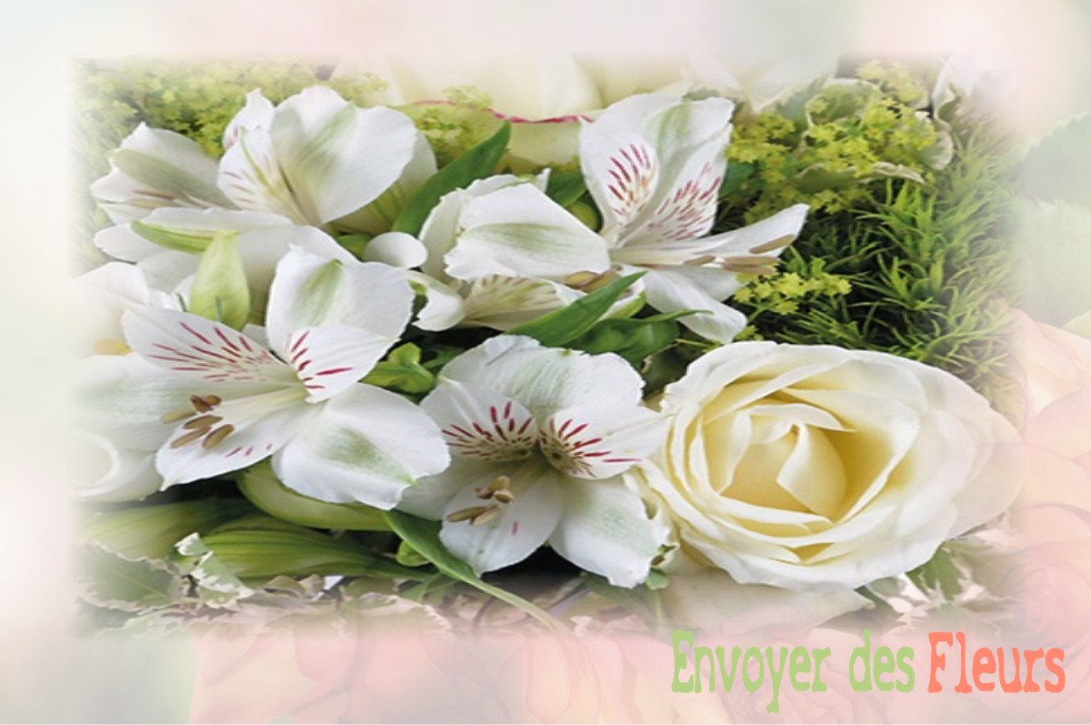 envoyer des fleurs à à VILLIERS-LES-HAUTS