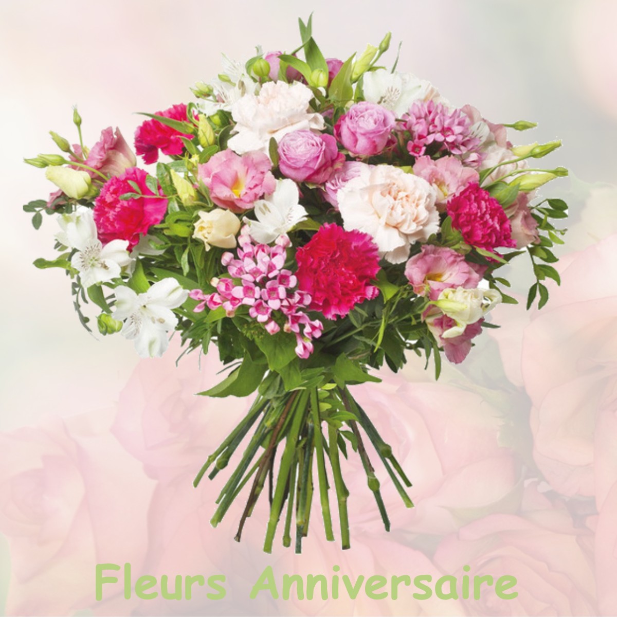fleurs anniversaire VILLIERS-LES-HAUTS